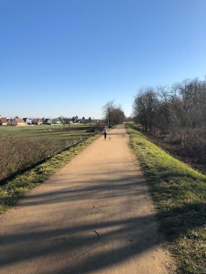 Gite Wellness Le Six H Andolsheim 외부 사진
